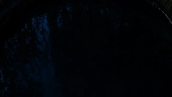 Inkwell Deep pond bed